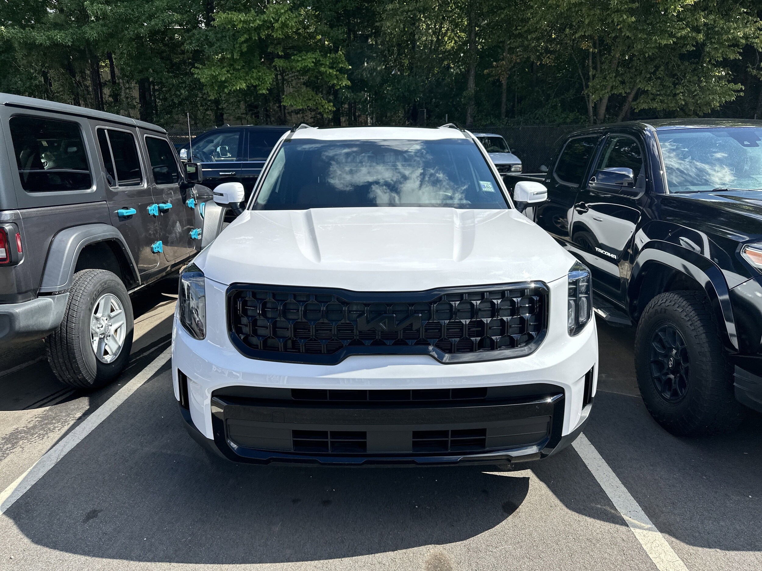 2025 Kia Telluride EX X-Line photo 2
