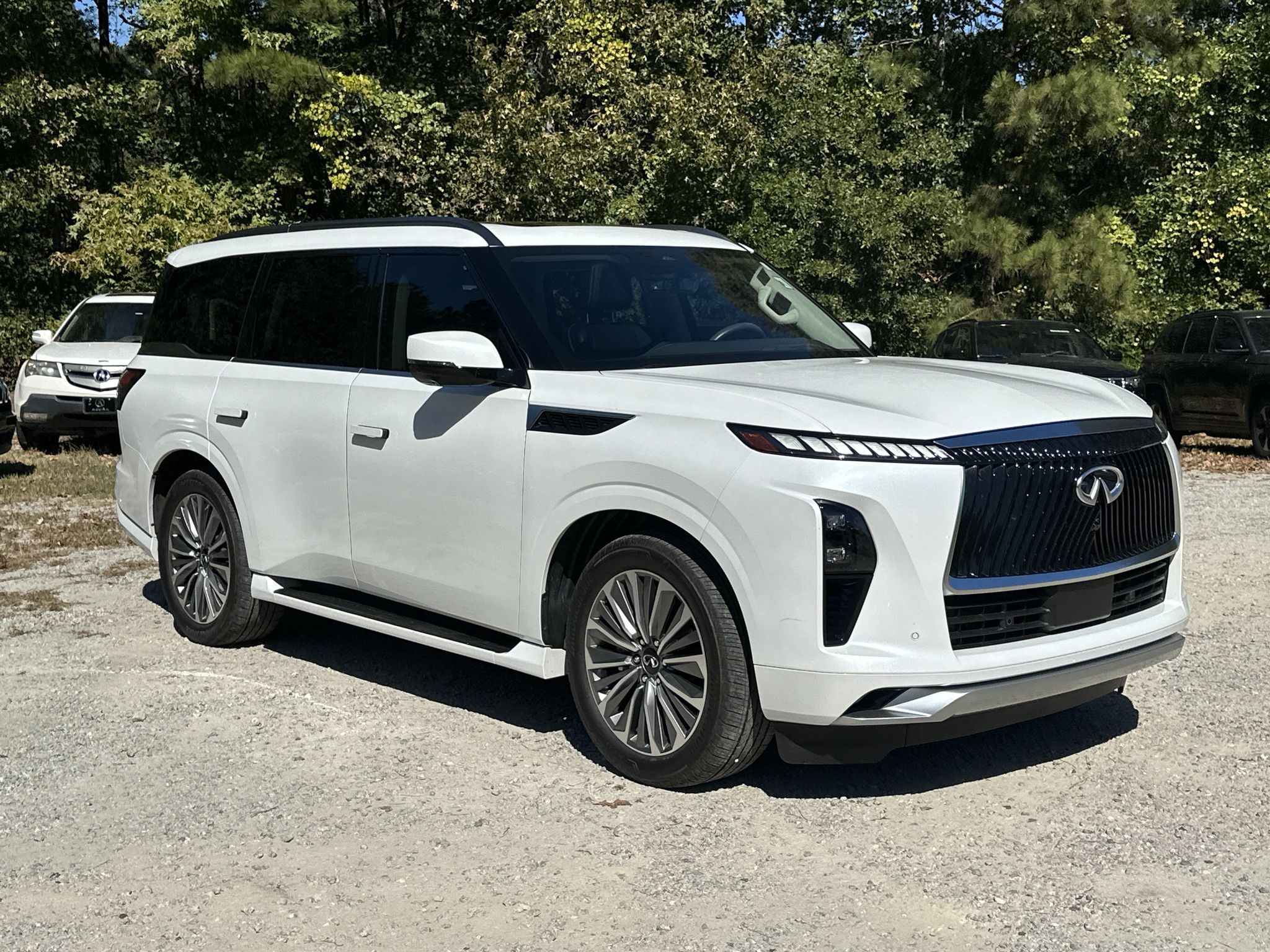 2025 INFINITI QX80 Luxe