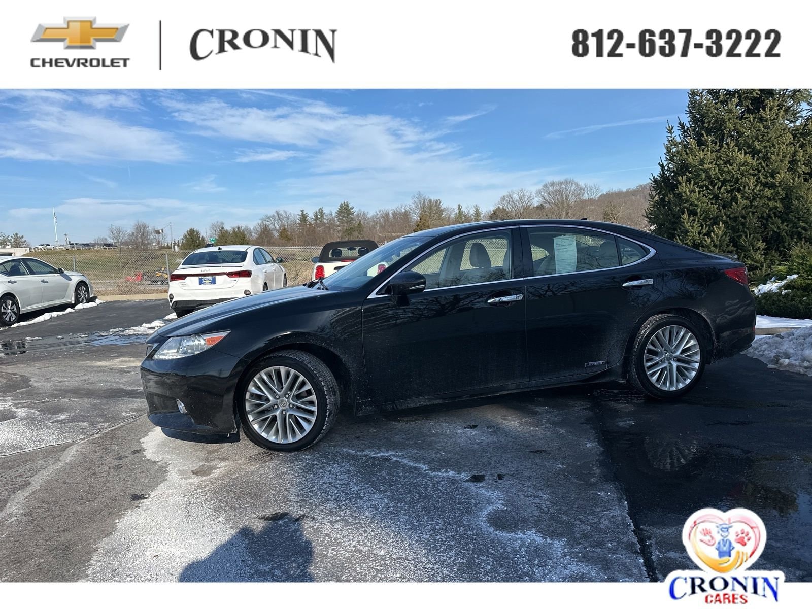 2014 Lexus ES 300h's photo