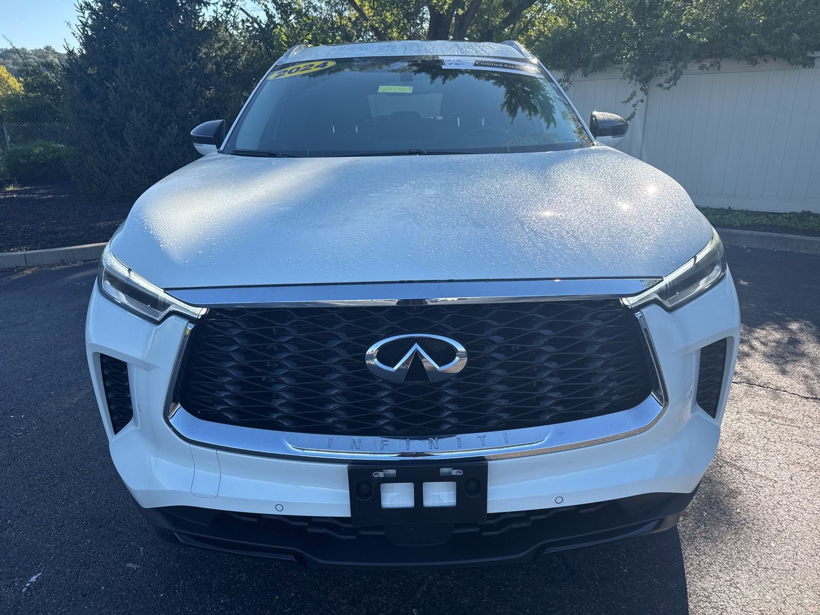 2024 Infiniti QX60 Luxe photo 2