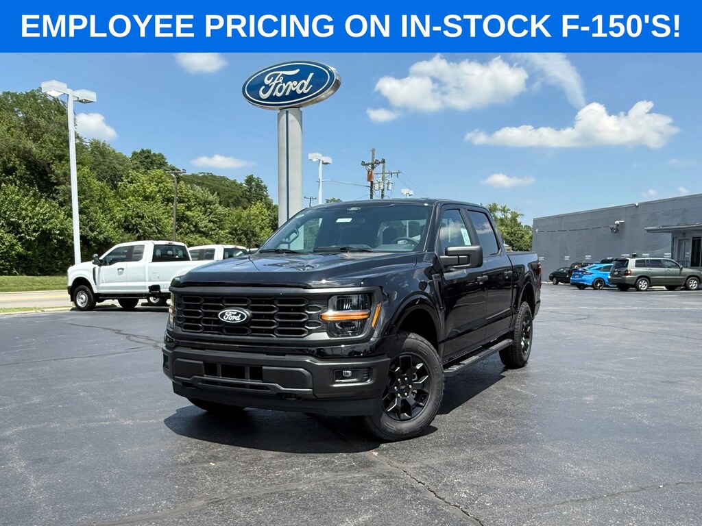 New 2025 Ford F-150 STX TRUCK