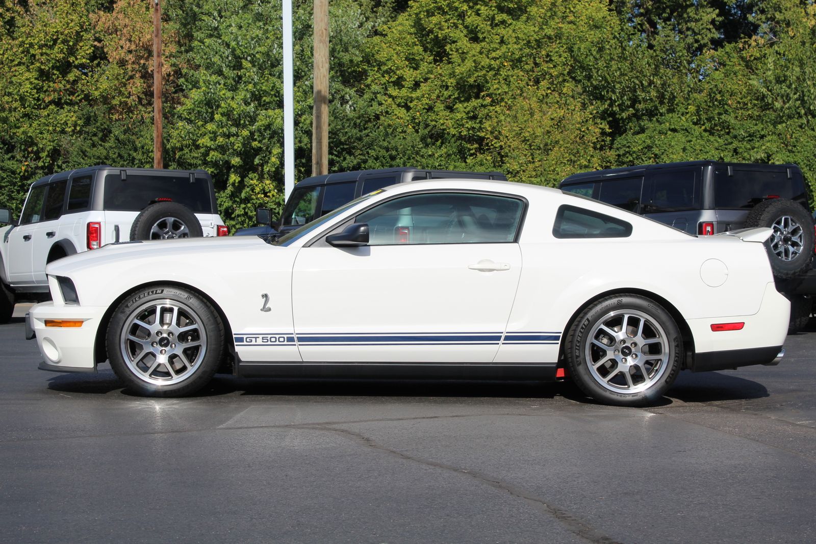 2008 Ford Mustang Shelby GT500 photo 2