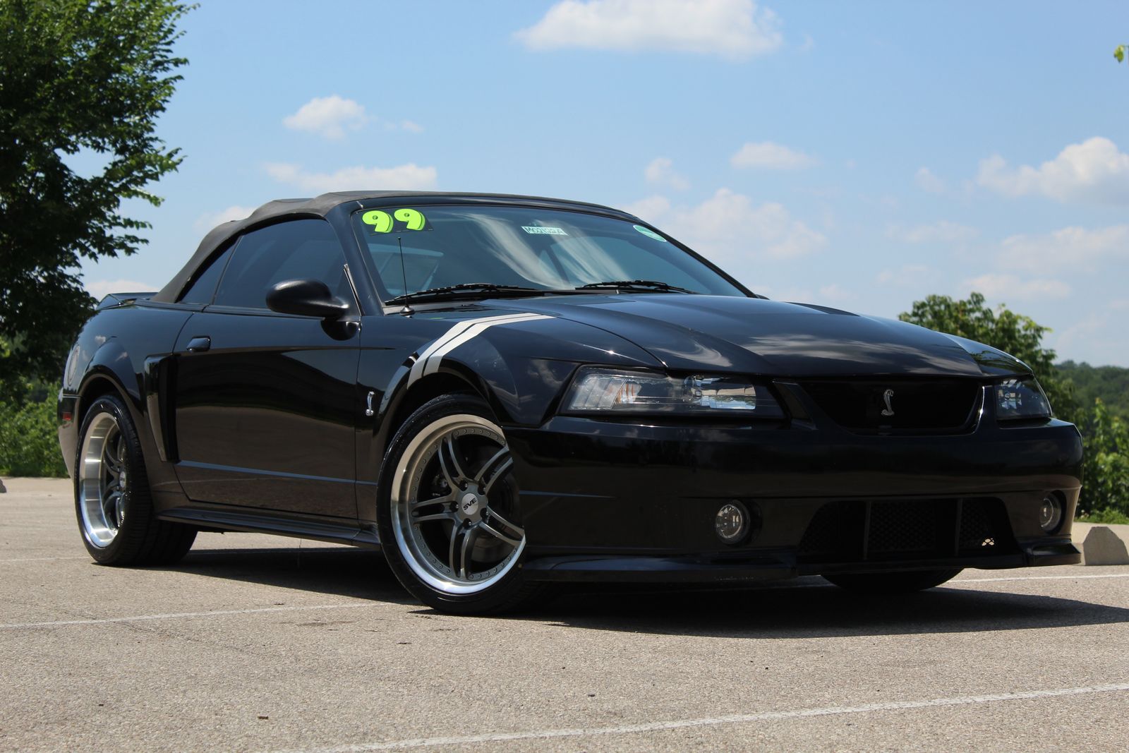 1999 Ford Mustang COBRA SVT's photo