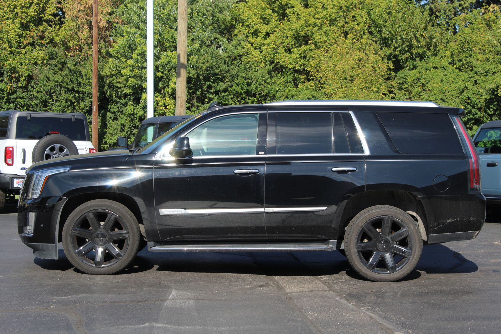 2019 Cadillac Escalade Luxury photo 3