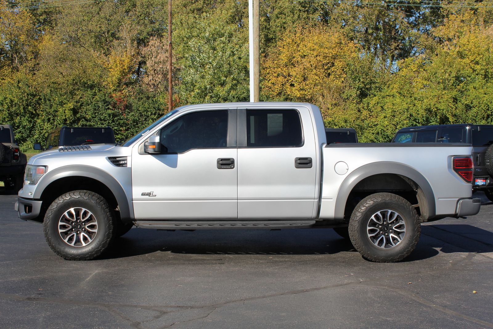 2014 Ford F-150 SVT Raptor photo 3