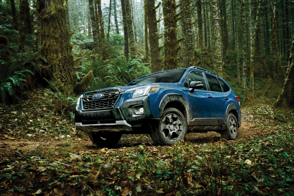 2023 Subaru Forester Wilderness Driving offroad