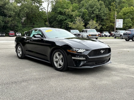 2023 Ford Mustang EcoBoost EcoBoost Fastback