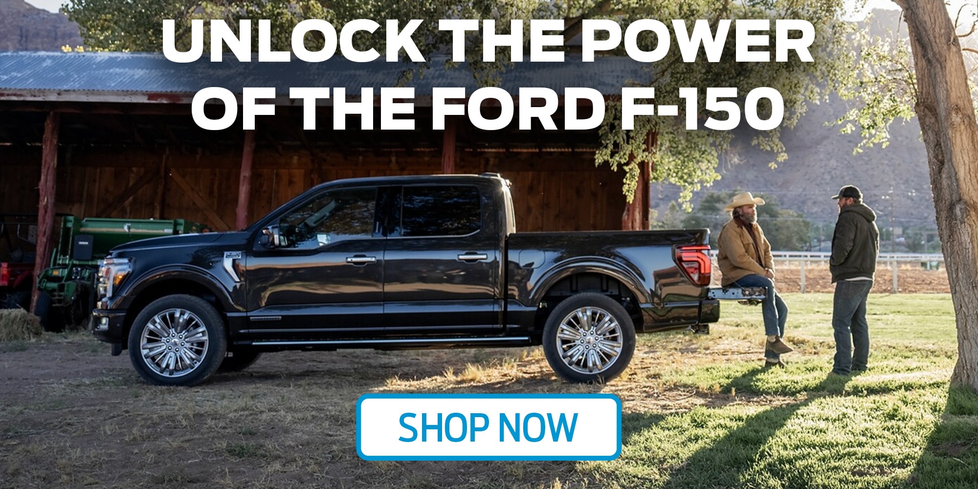 Ford Truck Buying Guide