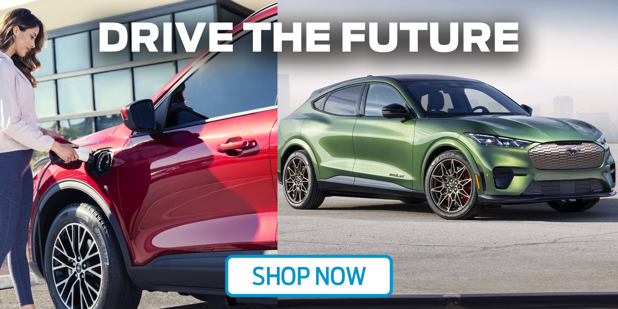 Hybrid vs Electric Cars