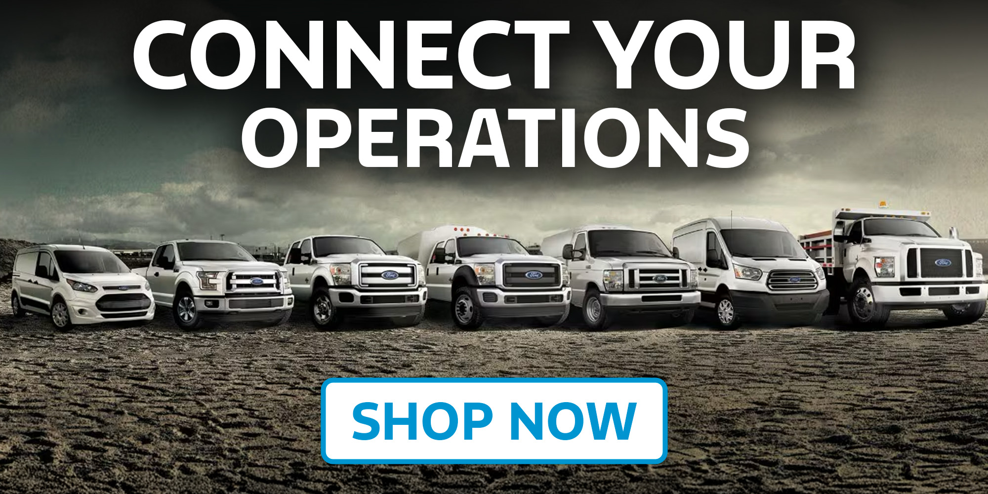 Ford Fleet Management