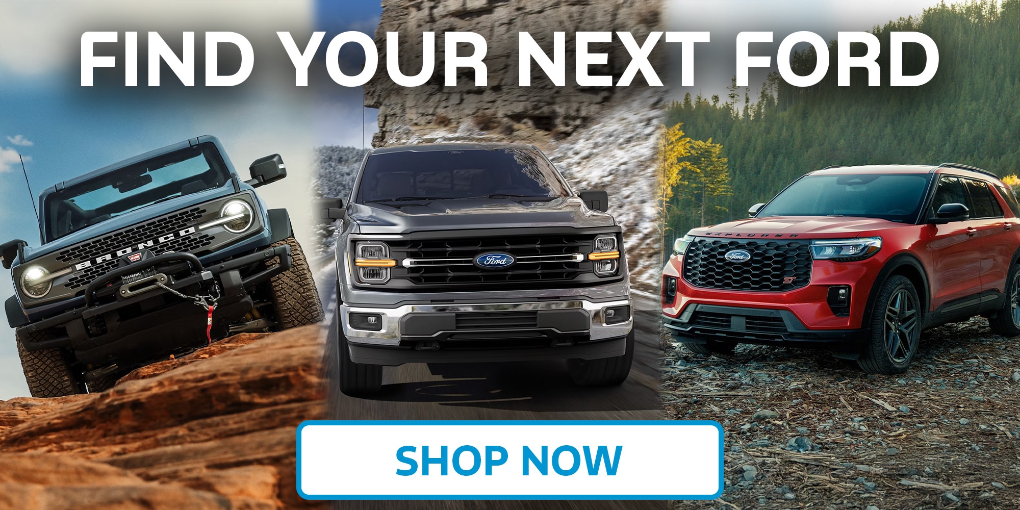 New Ford Models