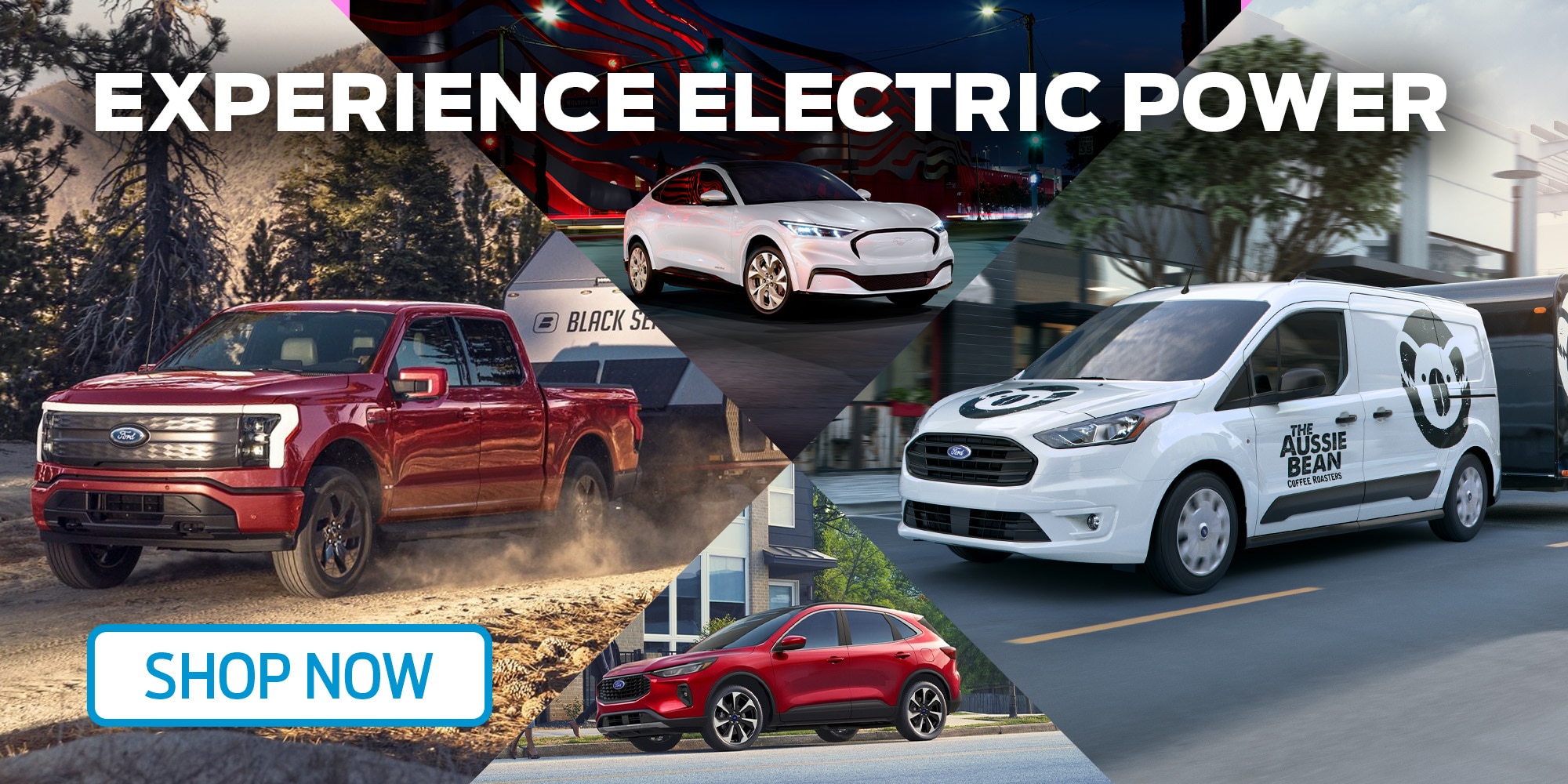 Ford EV Models
