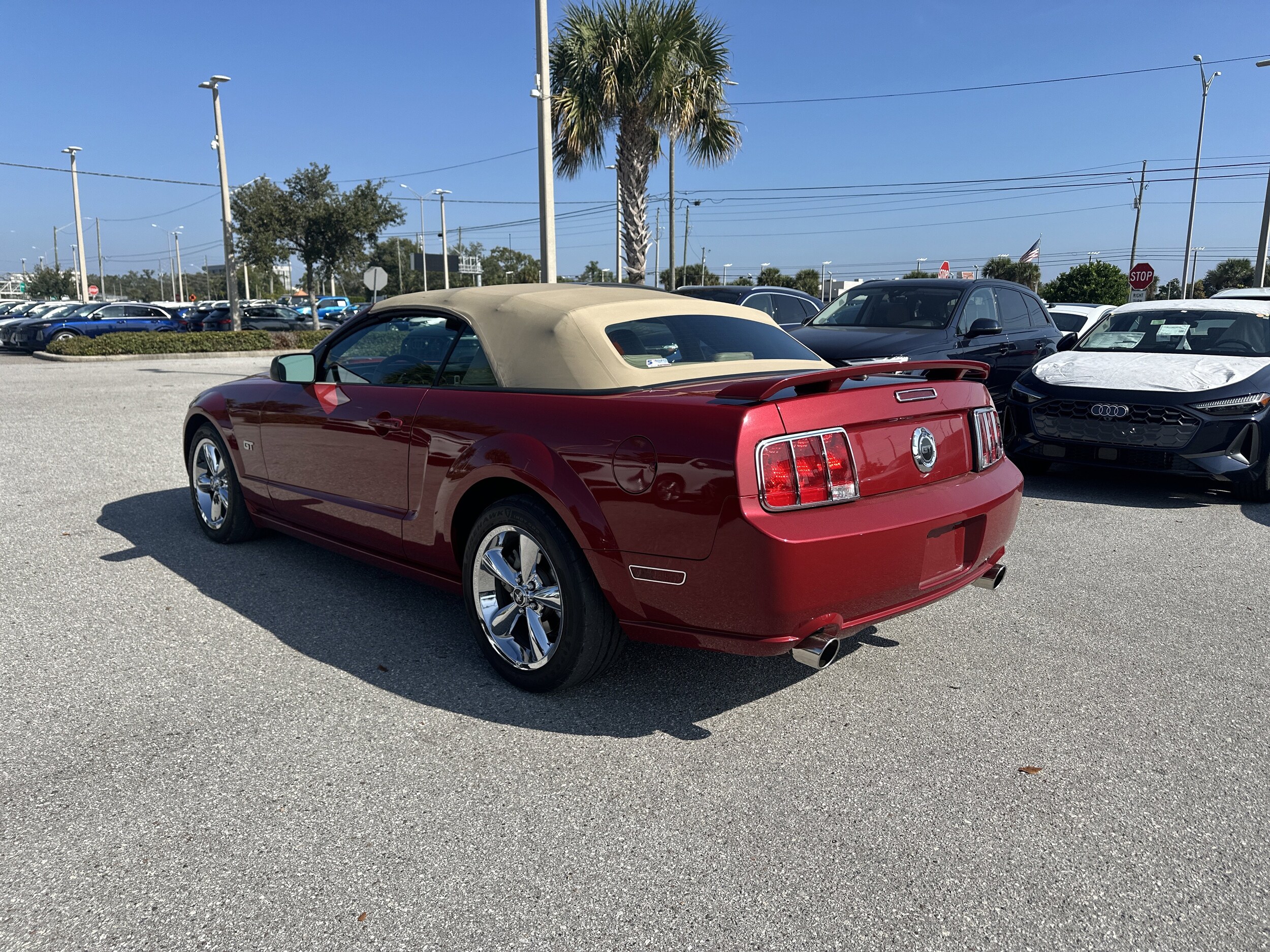 2008 Ford Mustang GT Premium Convertible photo 2