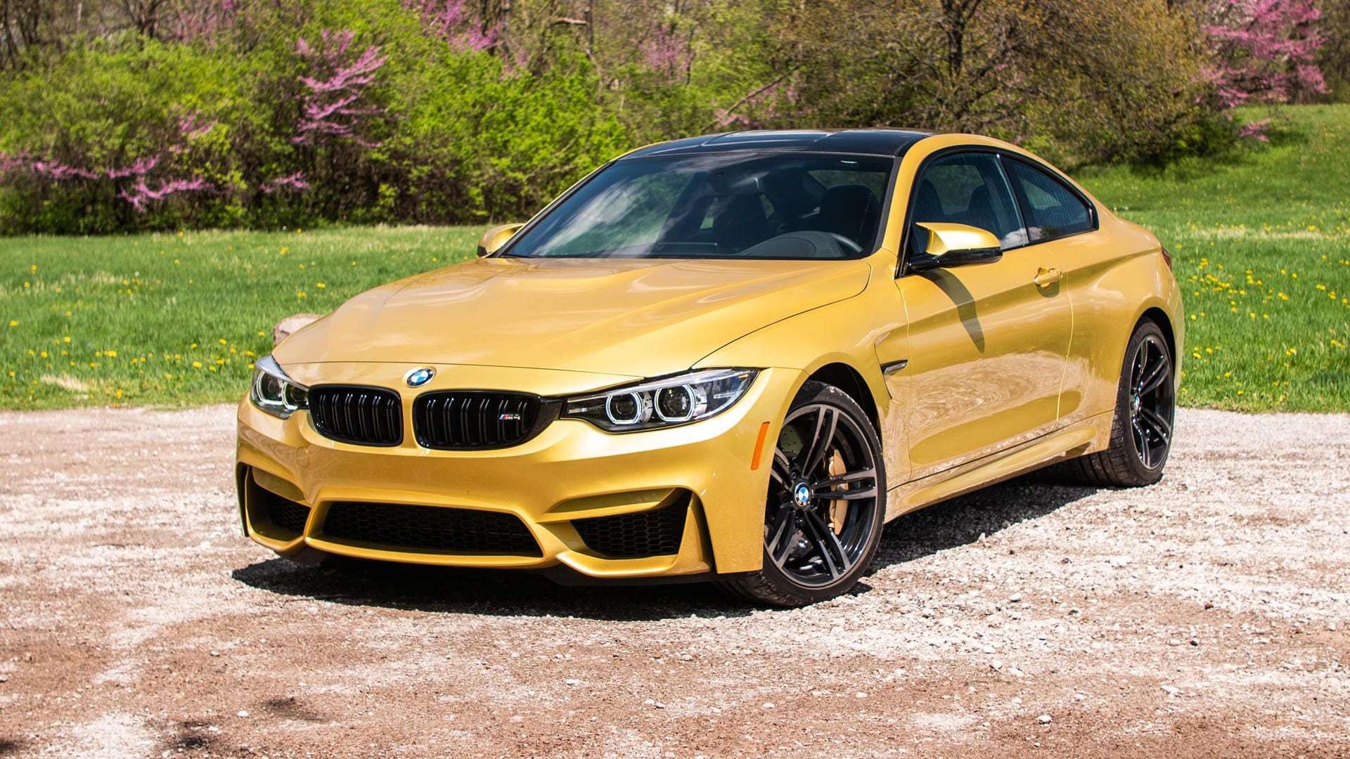 fallbmw.jpg