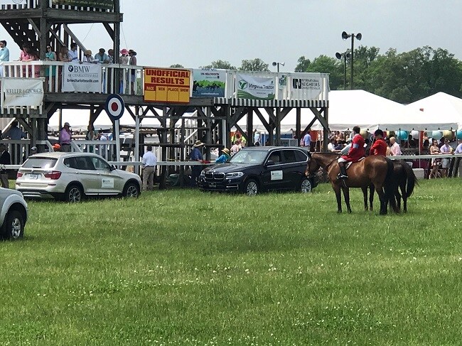 foxfield3.jpg