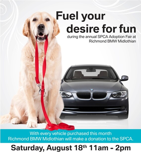 Donate a Vehicle - Richmond SPCA