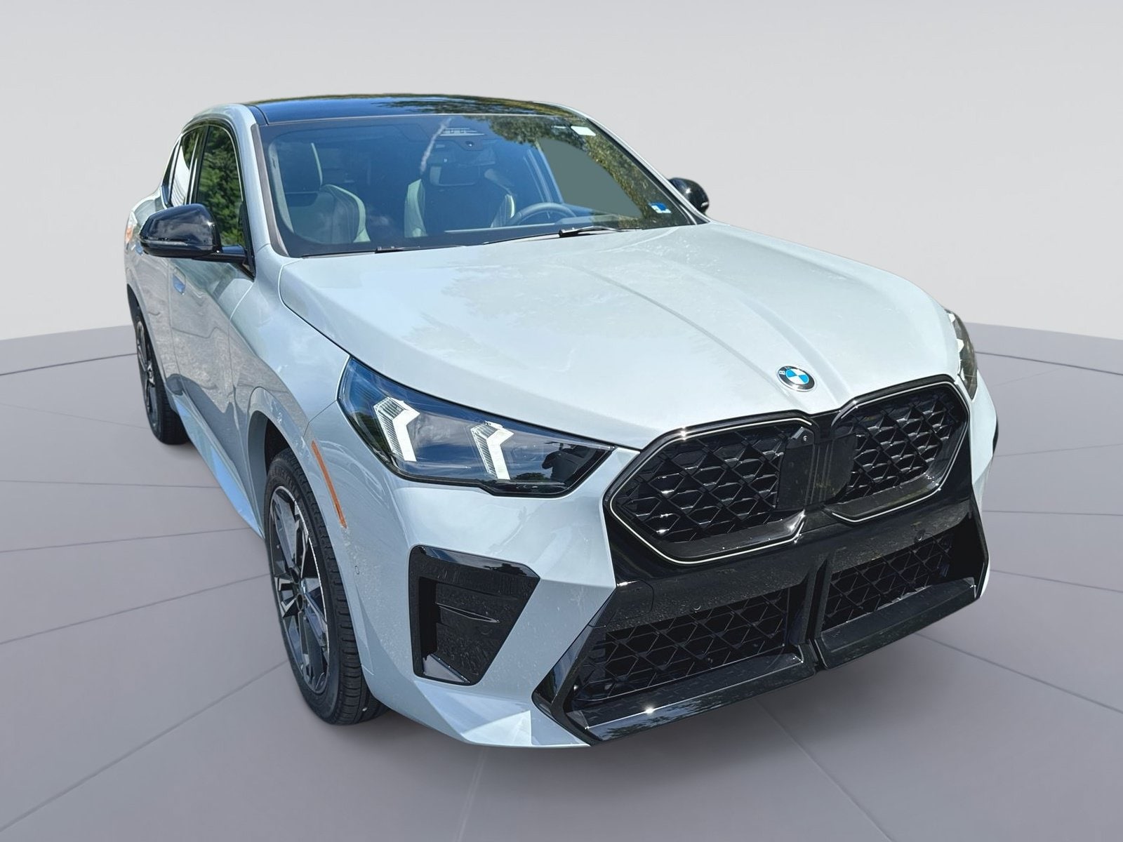 2026 BMW X2 xDrive28i's photo
