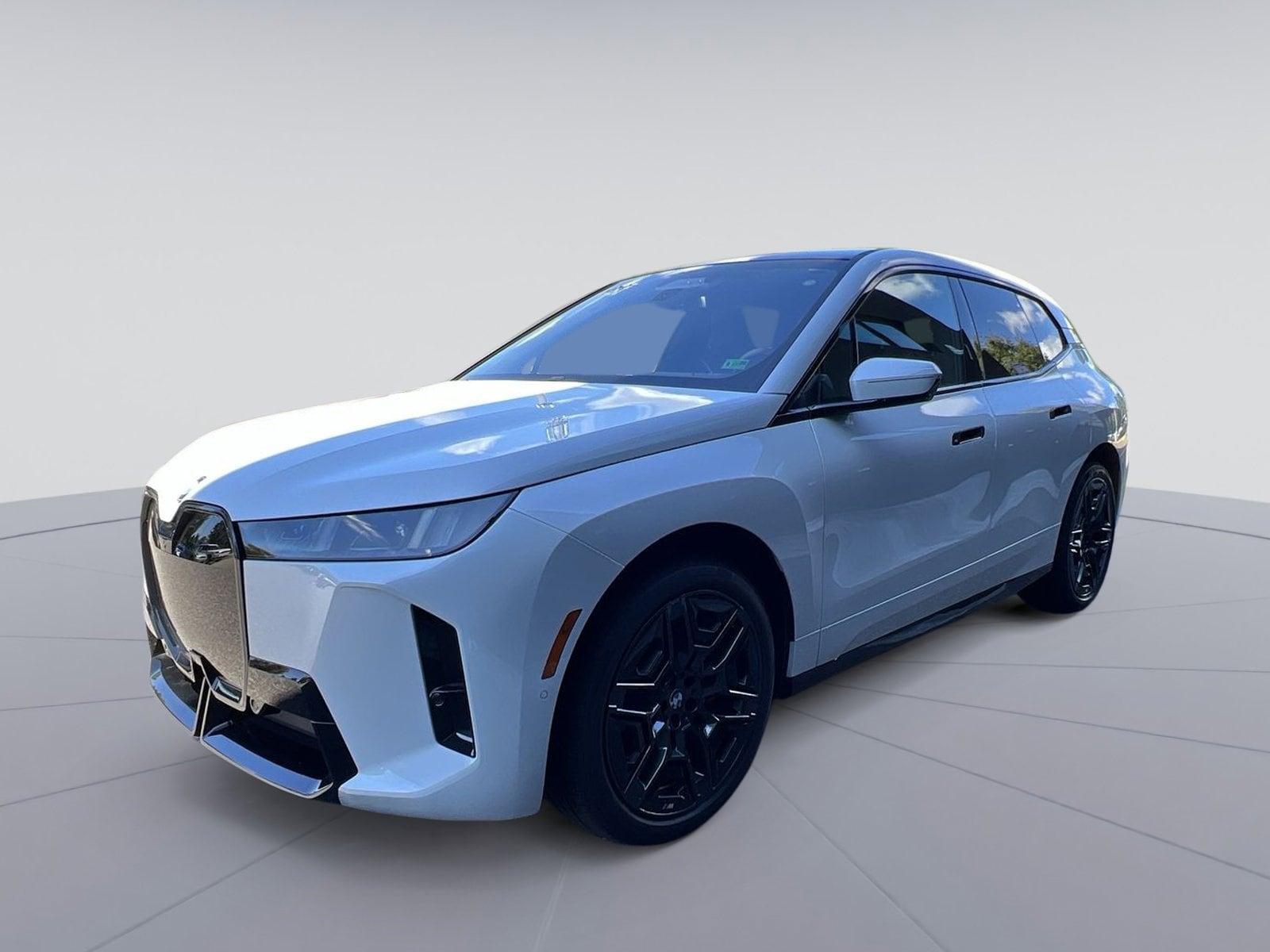 2026 BMW iX 60's photo