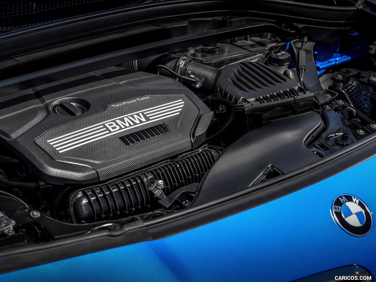 UNDERTHEHOOD.jpg