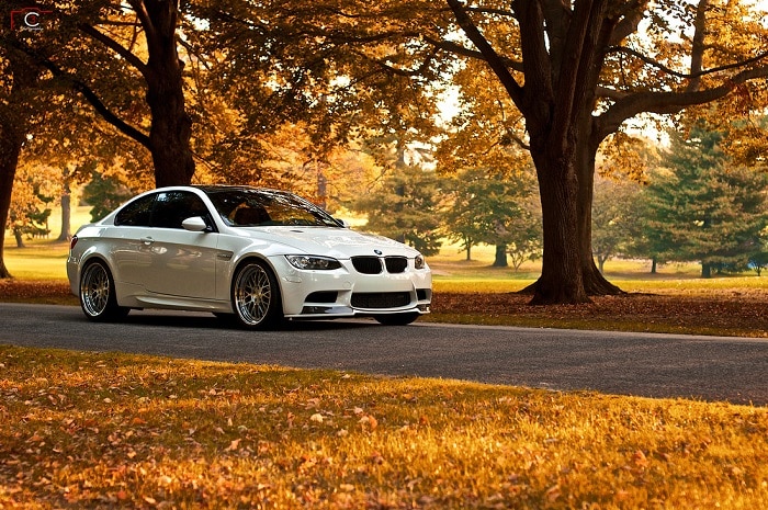 bmw in fall.jpg
