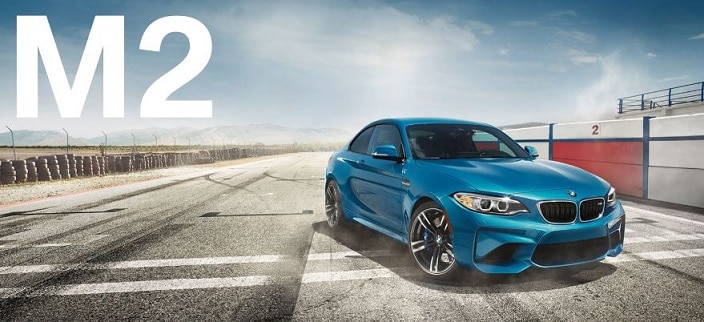 m2.JPG