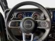 2019 Jeep Wrangler Unlimited Sahara 4x4 SUV