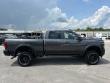 2025 Ram 2500 Rebel/Power Wagon Pickup