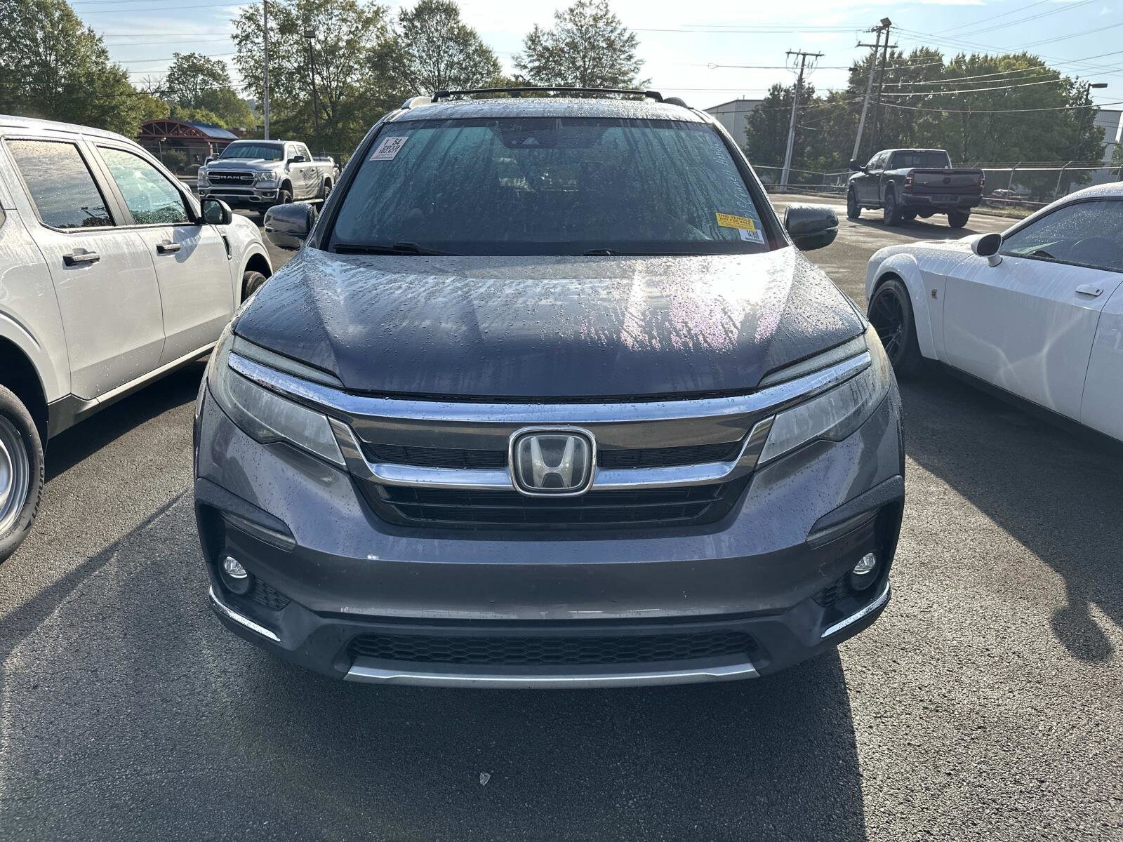 2019 Honda Pilot Elite photo 2