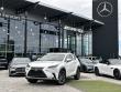 Used 2019 Lexus NX 300 Base SUV