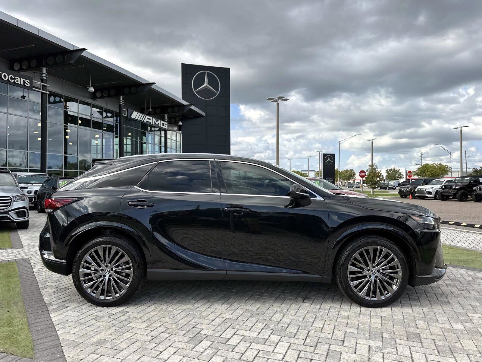 2024 Lexus RX 350 Luxury photo 3