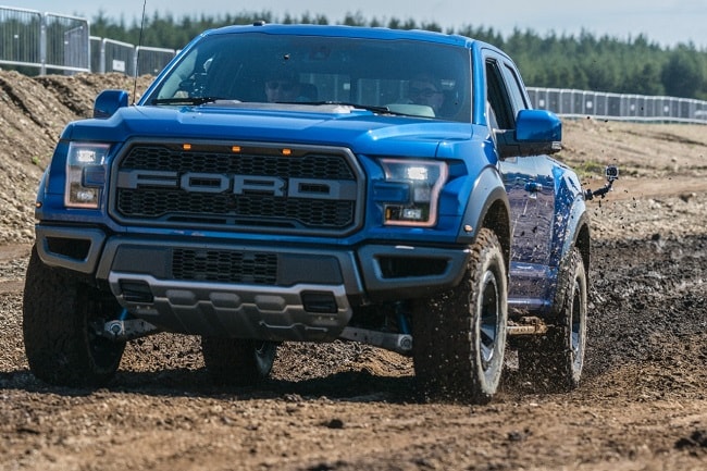 raptor.jpg