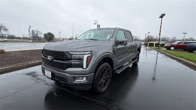 2025 Ford F-150 Platinum's photo