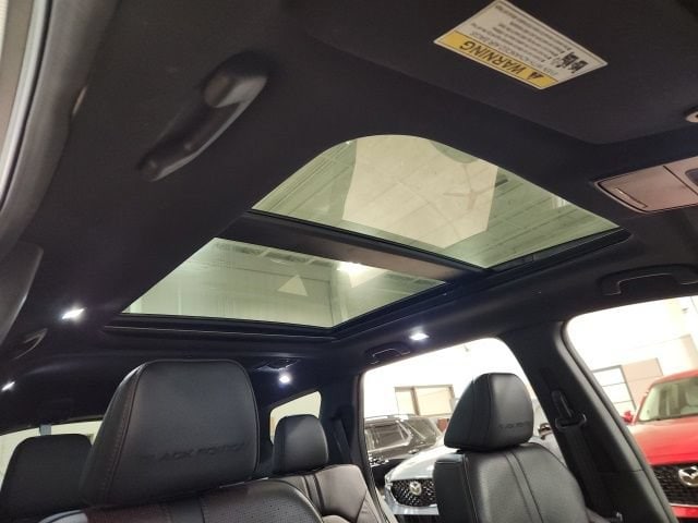 2025 Honda Pilot Black Edition - Photo 35