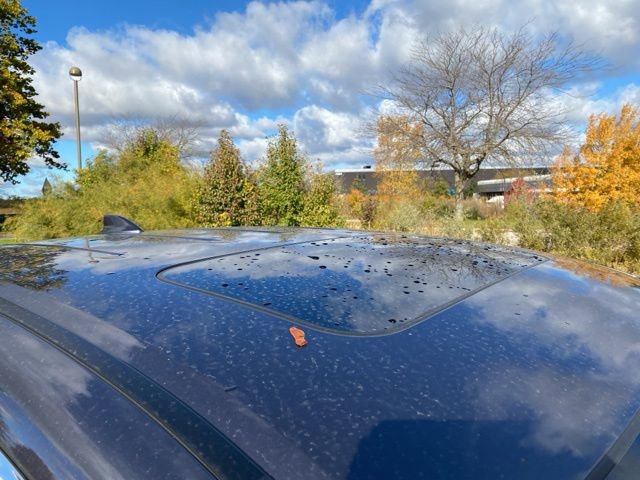 2024 Honda Ridgeline RTL photo 2