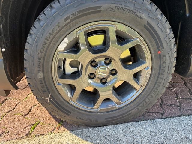 2025 Honda Pilot TrailSport photo 3