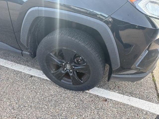 2019 Toyota RAV4 XLE photo 2