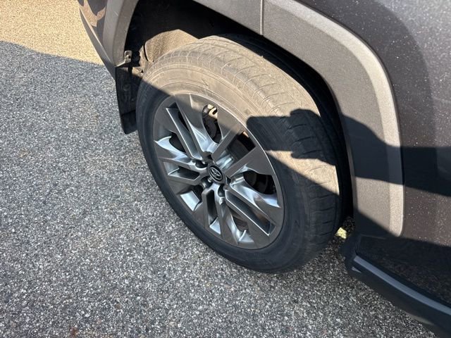 2019 Toyota RAV4 XLE Premium photo 3