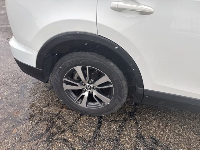 2018 Toyota RAV4 XLE photo 3