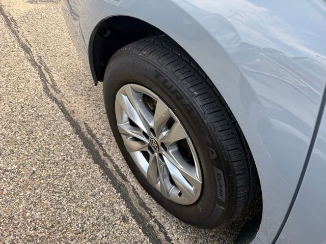 2022 Toyota Sienna XLE Woodland Edition photo 3