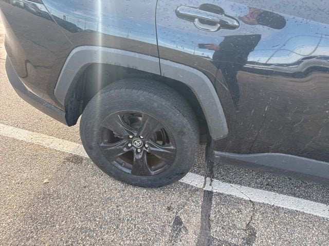 2019 Toyota RAV4 XLE photo 3