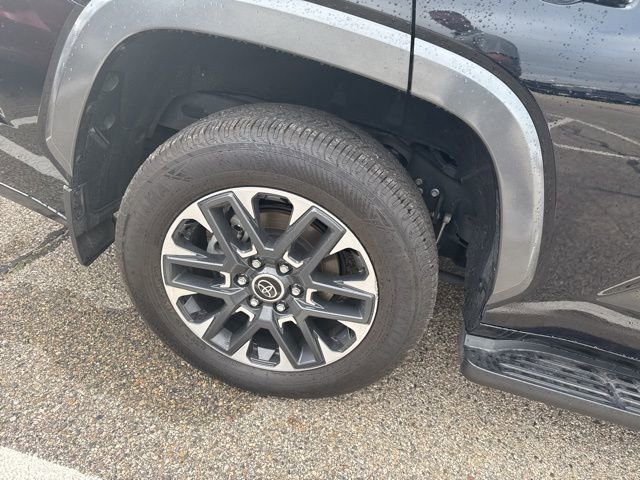 2024 Toyota Sequoia Limited photo 3