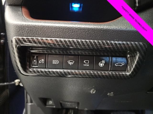 2020 Toyota RAV4 Limited - Photo 18