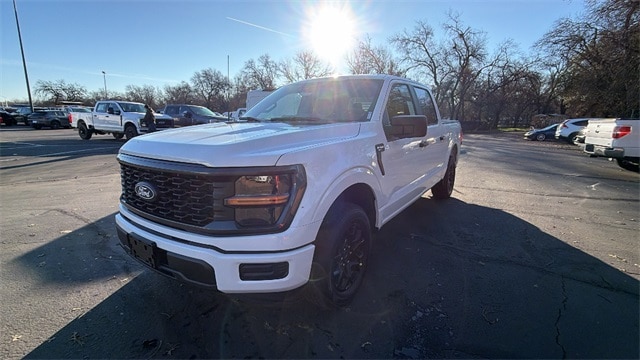 2025 Ford F-150 STX's photo
