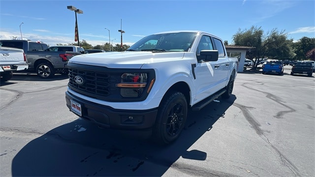 2025 Ford F-150 STX's photo