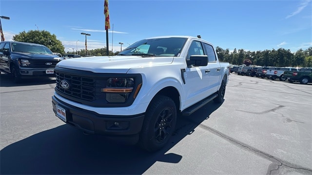 2025 Ford F-150 STX's photo