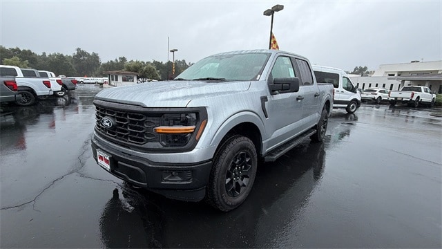 2025 Ford F-150 STX's photo