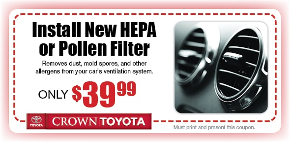 Hepa shop pollen filter