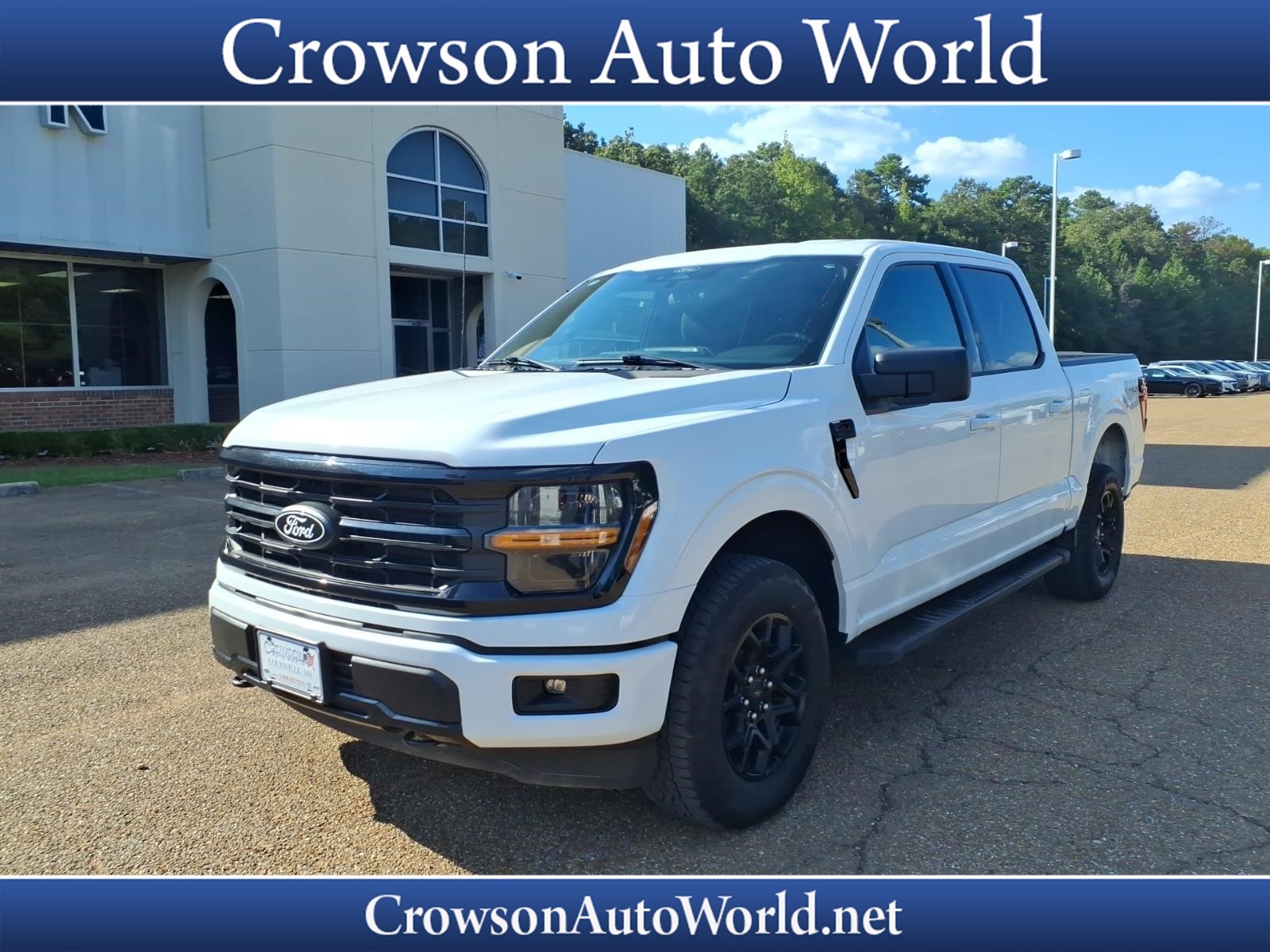 Used 2025 Ford F-150 XLT Crew Cab
