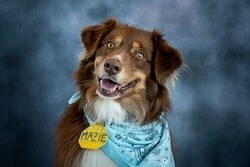 Staff member Mazie from ID_55e263