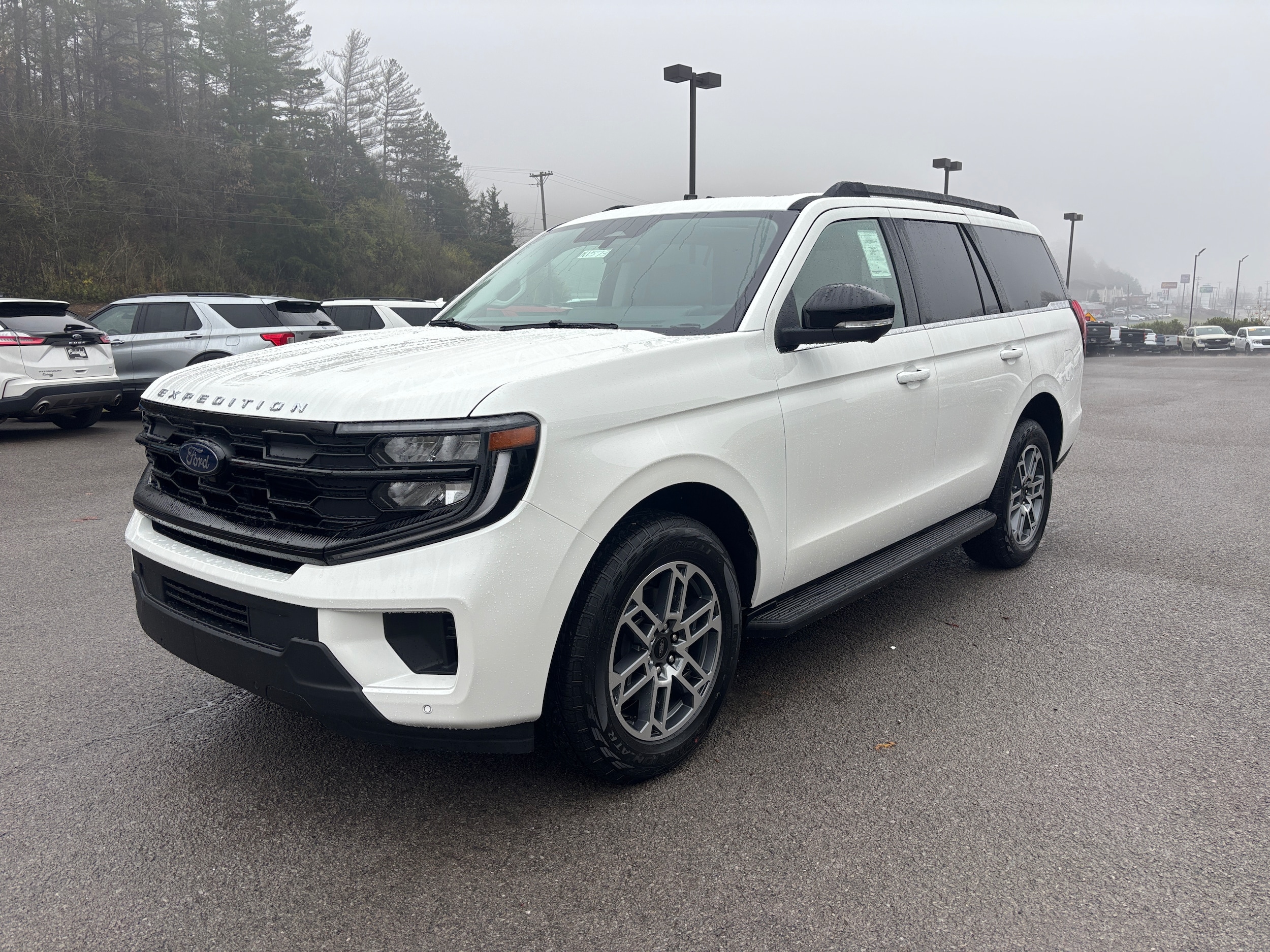 2025 Ford Expedition Active's photo